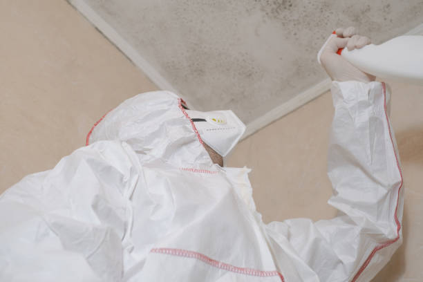 Best Post-Flood Mold Remediation in Arcadia, IN